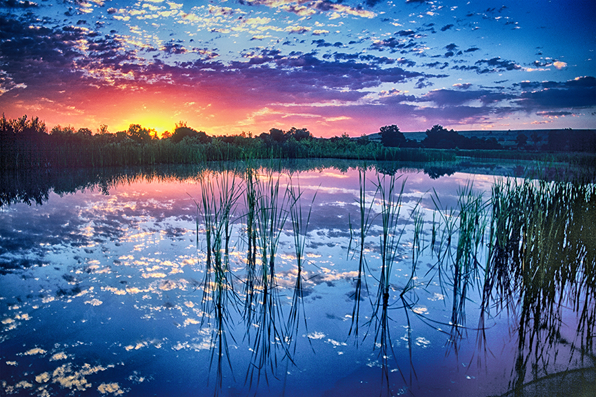 Wetlands Sunrise