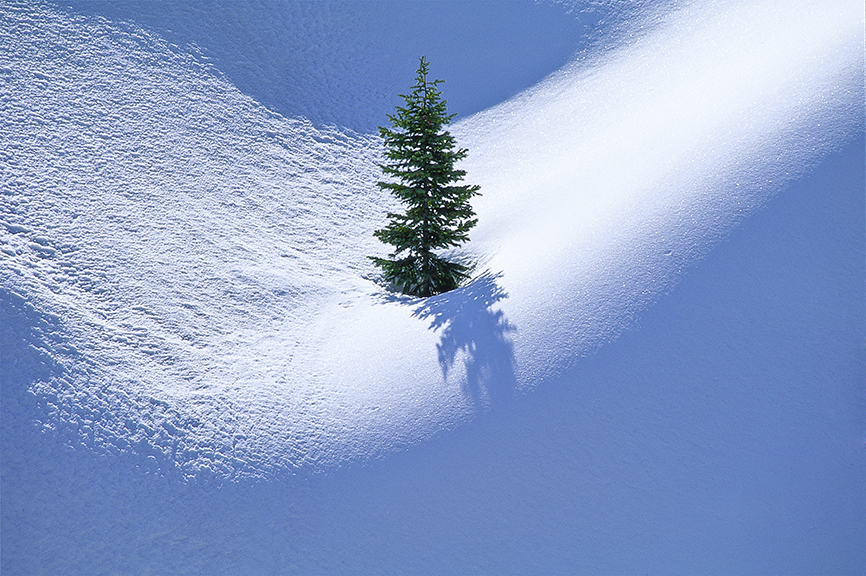 Lone Pine, Horizontal