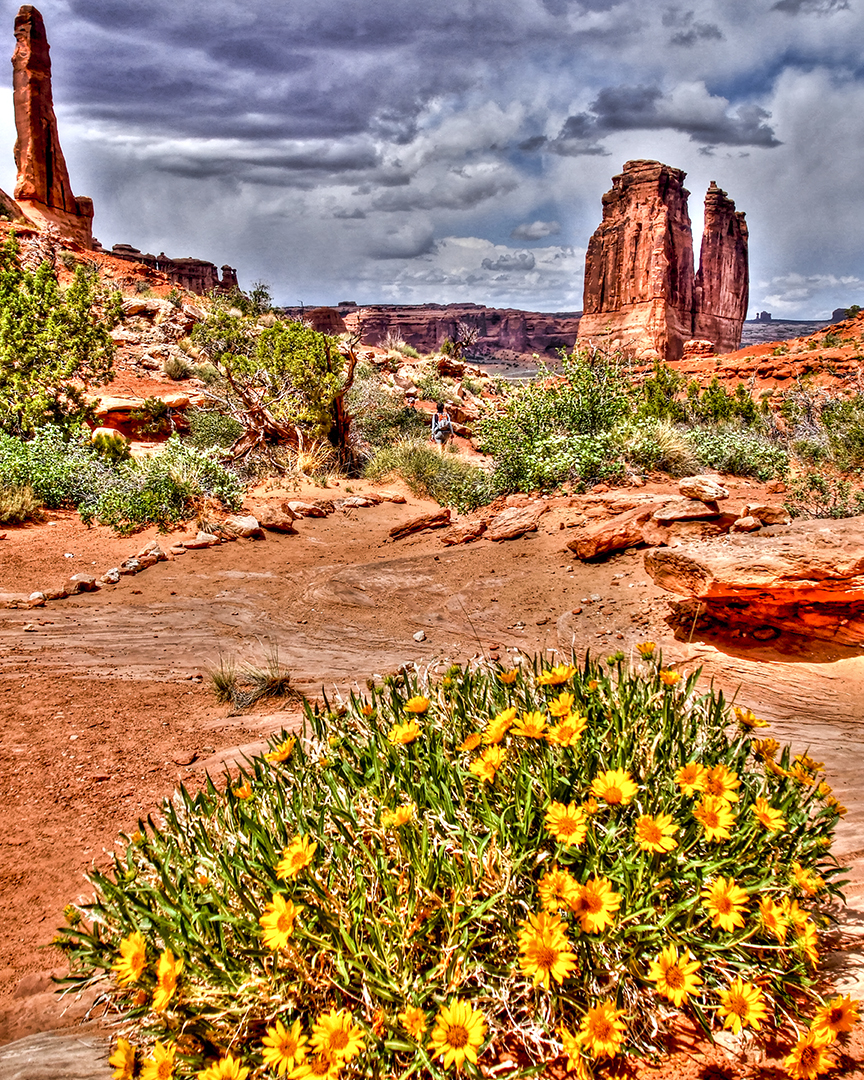 Park Avenue, Wildflowers