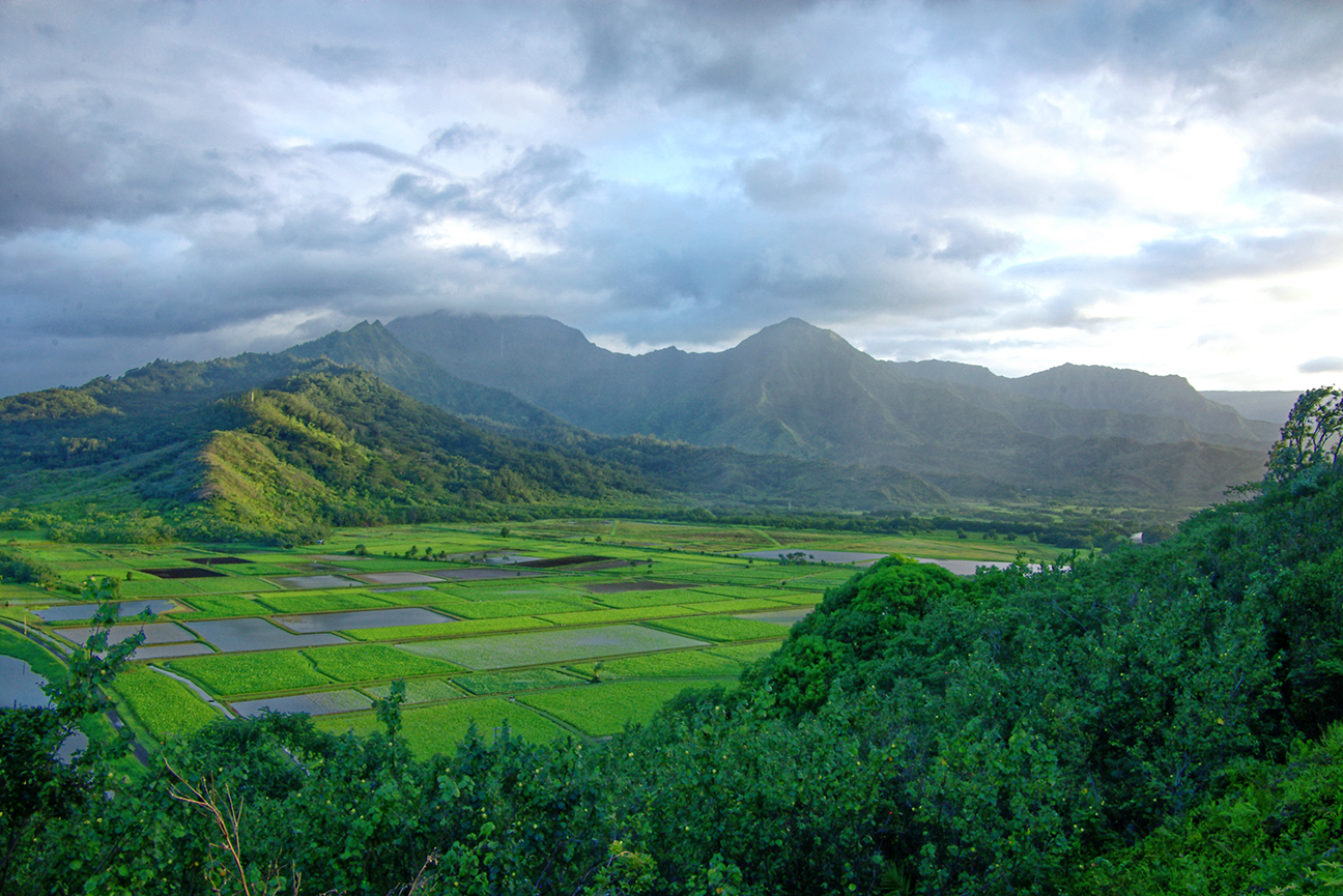 Princeville Overlook