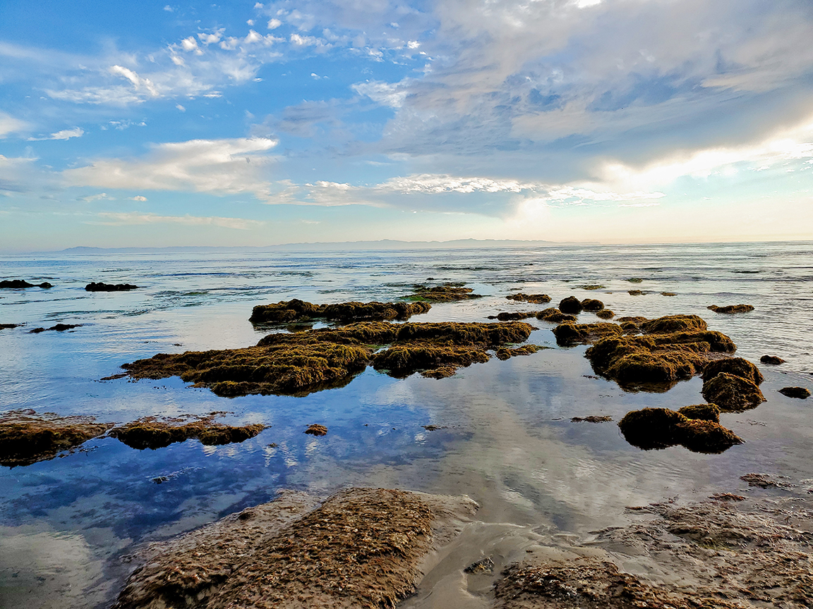 Tide Pools to Heaven
