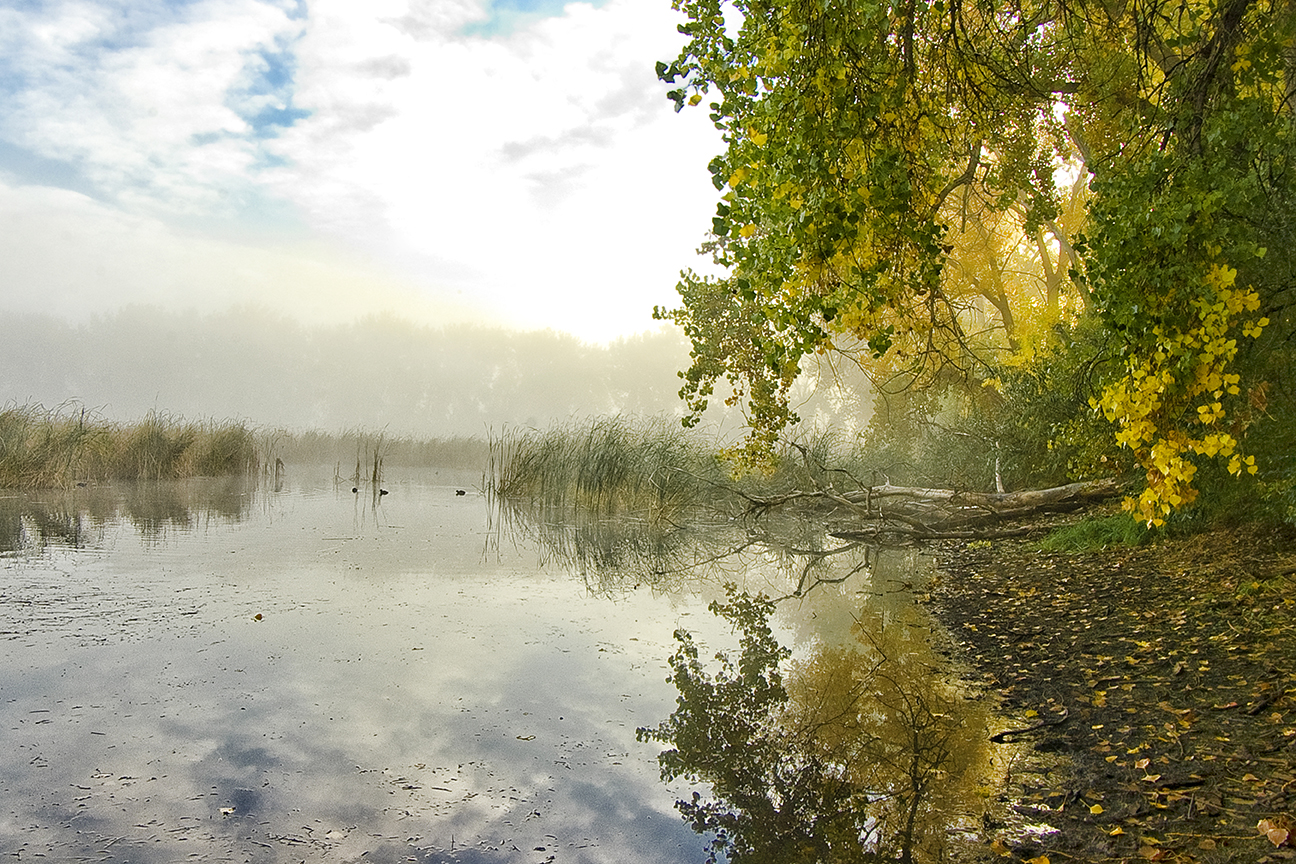 Greenlee Pond, Sunrise