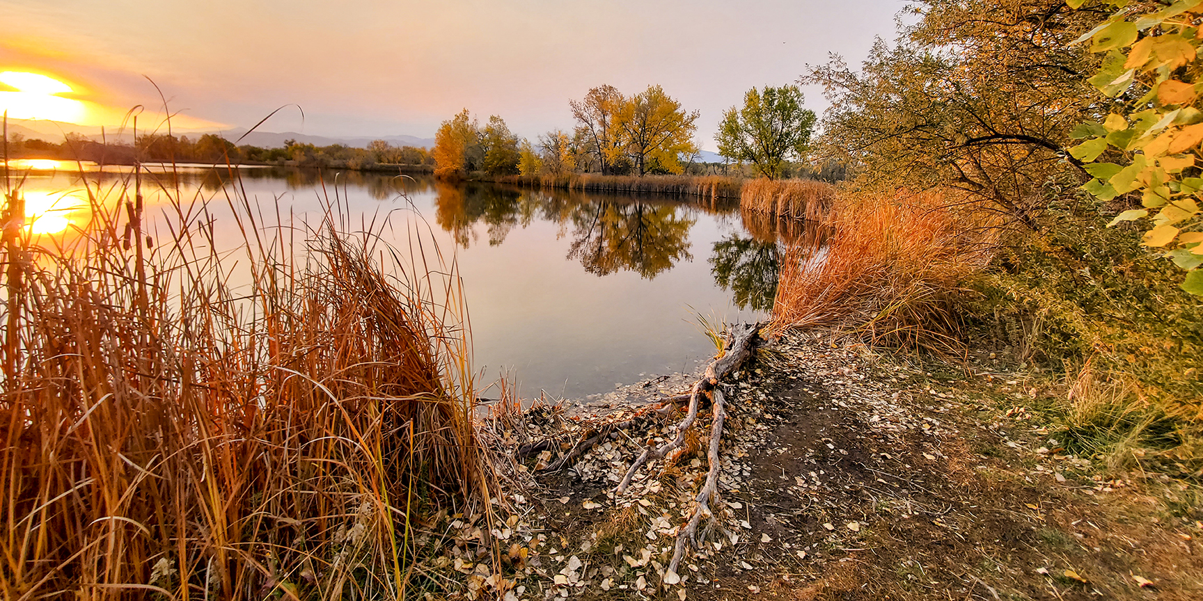 Walden Ponds, Panoramic